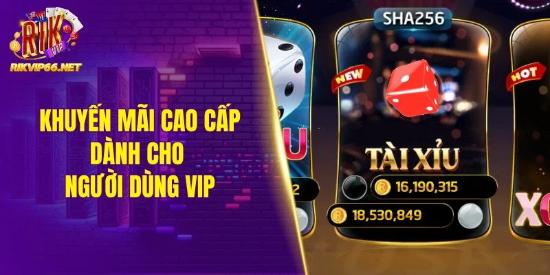 Khuyến mãi cao cấp dành cho người dùng VIP