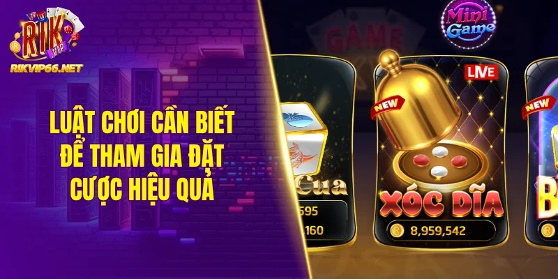 Luật chơi cần biết để tham gia đặt cược hiệu quả