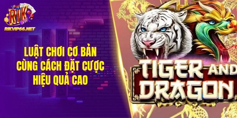 Luật chơi cơ bản cùng cách đặt cược hiệu quả cao