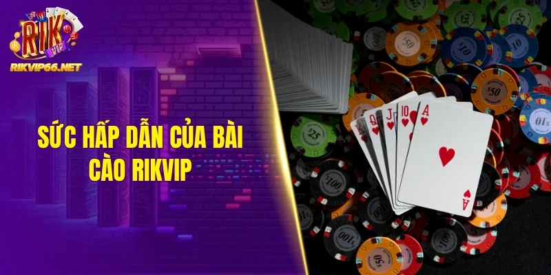 Sức hấp dẫn của bài cào Rikvip